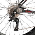 Factory direct selling carbon fiber 29er mountain bike 11/22/33 speed more lighter and flexible